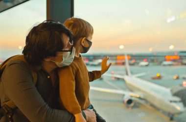 Pet Travel Cover: What's to understand?