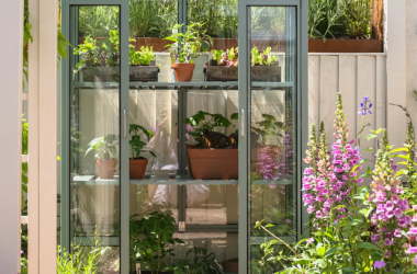 Enjoy Home Gardening More With Functional Greenhouses