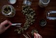 cannabis selection