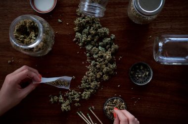 cannabis selection