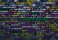 AI execution tips