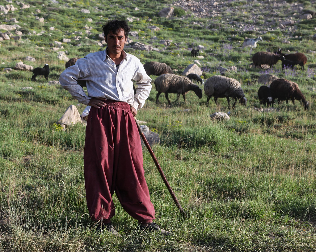 Afghan refugees deportation