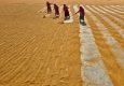Food Security in India