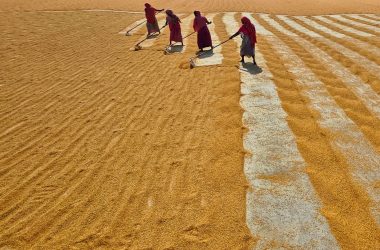 Food Security in India