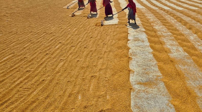 Food Security in India