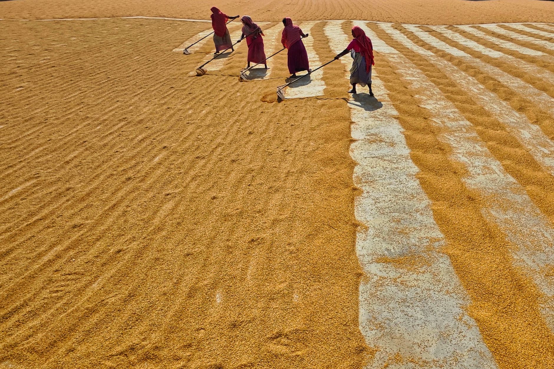Food Security in India