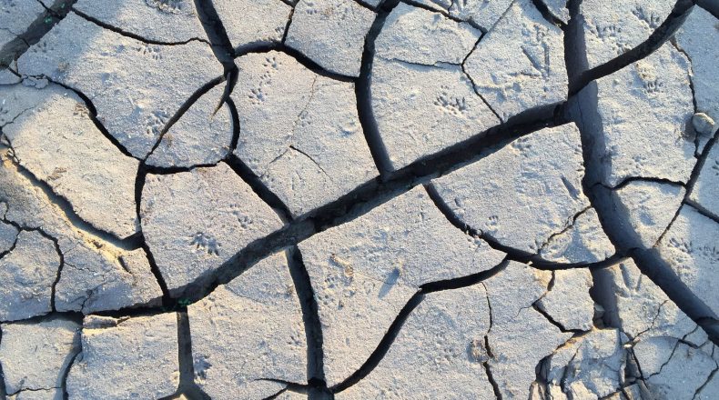 Maharashtra drought support