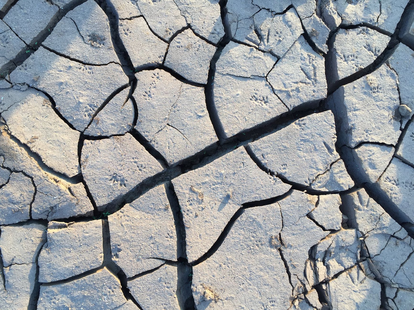 Maharashtra drought support