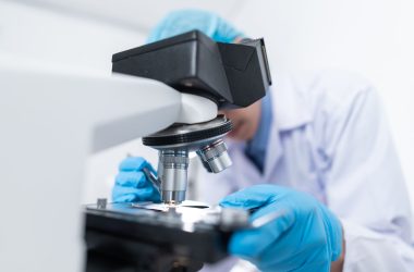 Research Development Innovation Fund