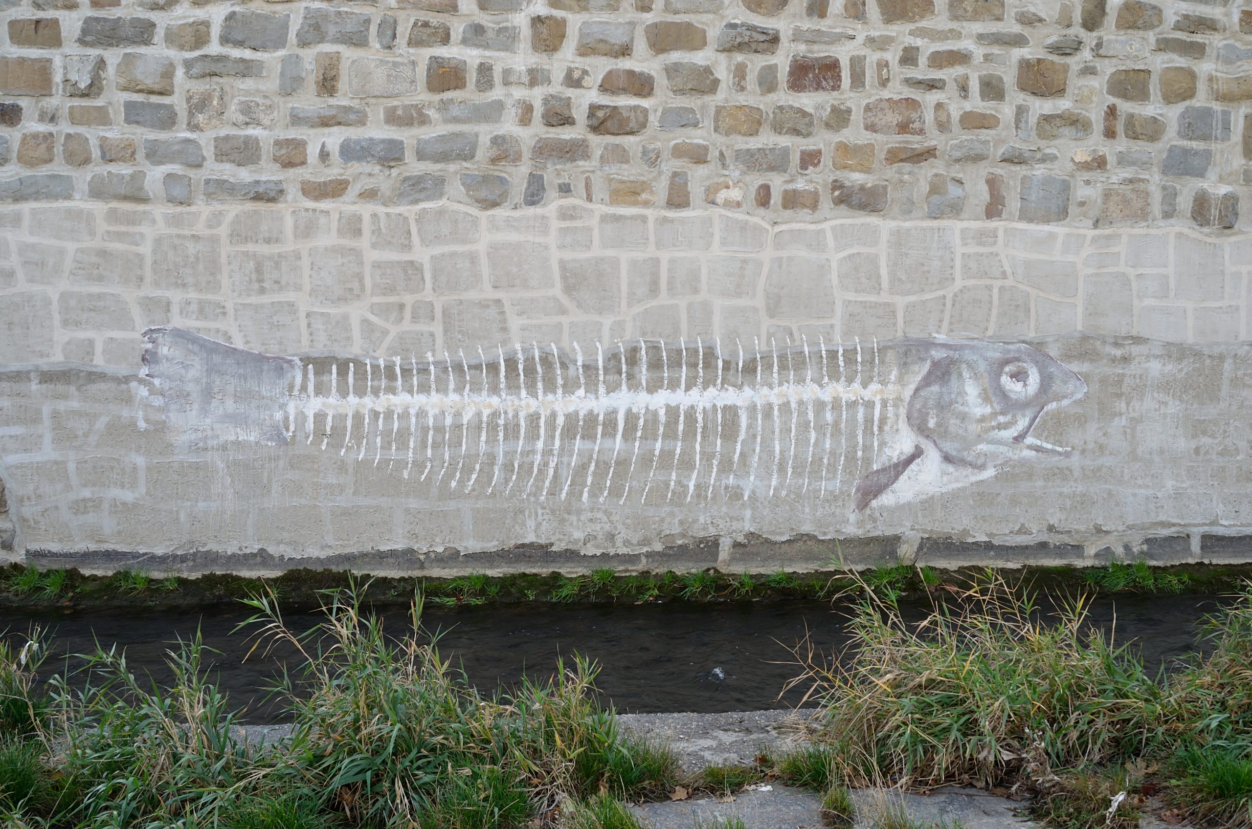 River of Bones